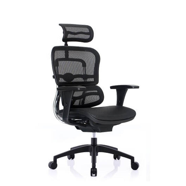 כסא מנהל ארגונומי ERGOHUMAN PROJECT COMFORT