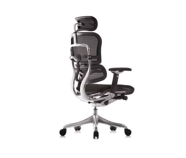 כסא מנהל ארגונומי ERGOHUMAN PLUS COMFORT