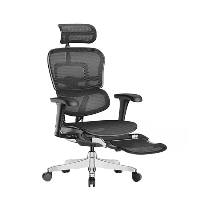 כסא מנהל ארגונומי ERGOHUMAN PRO COMFORT